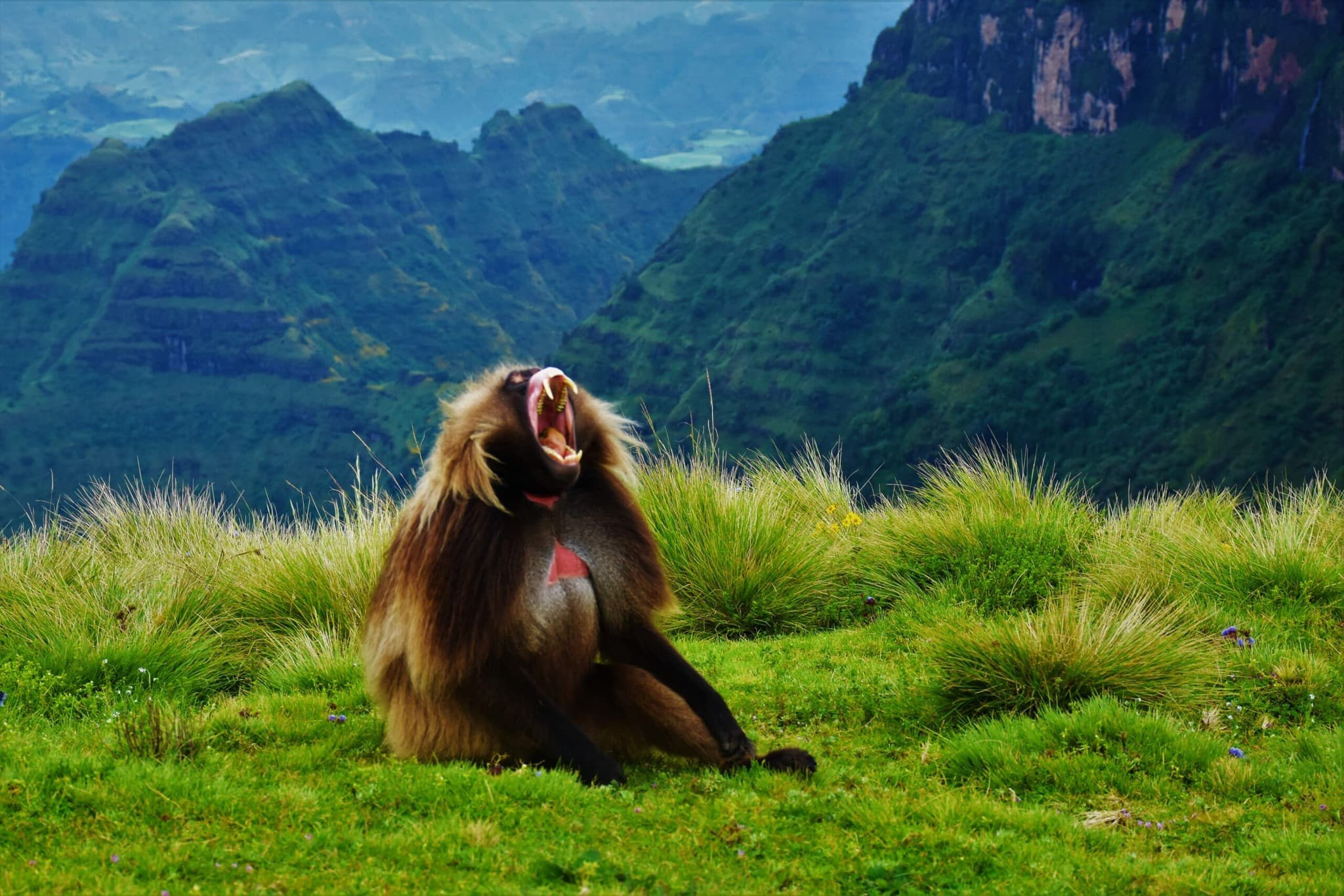 Simien Mountains National Park